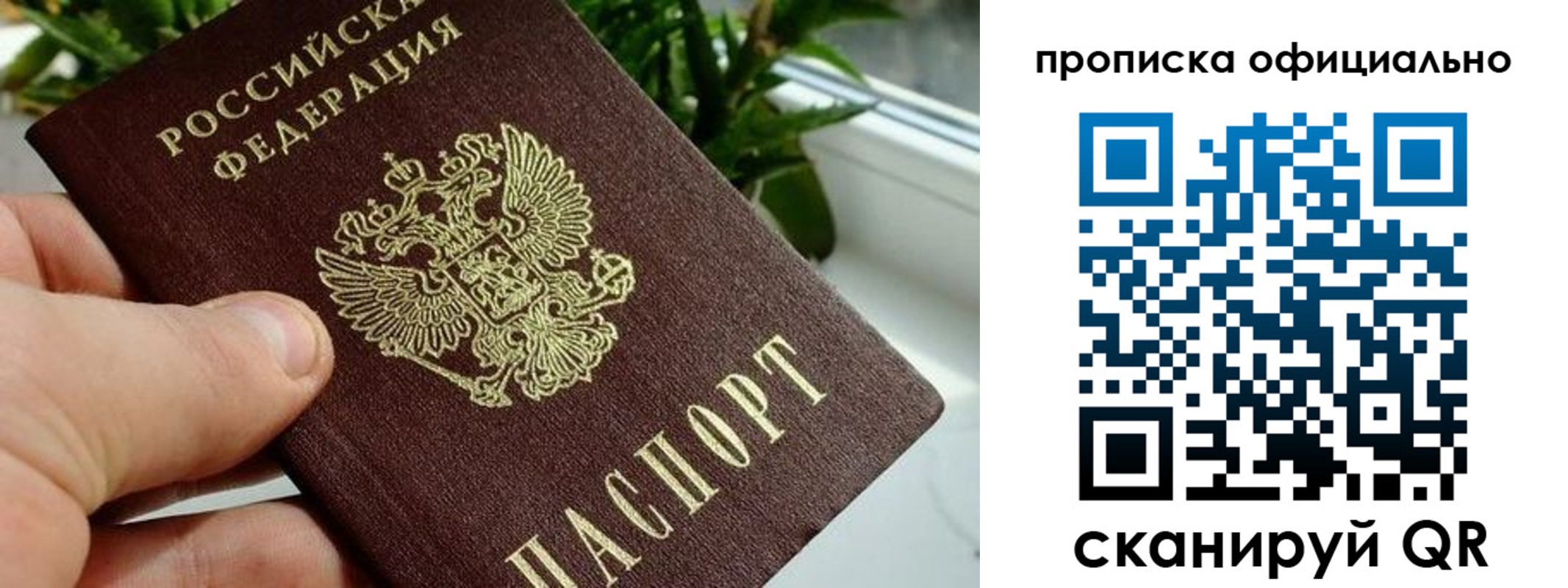 прописка поиск в Бодайбо